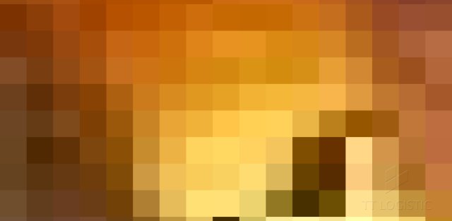 TT LogisticNueva página web